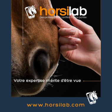 Abonnement prestataire - Horsilab