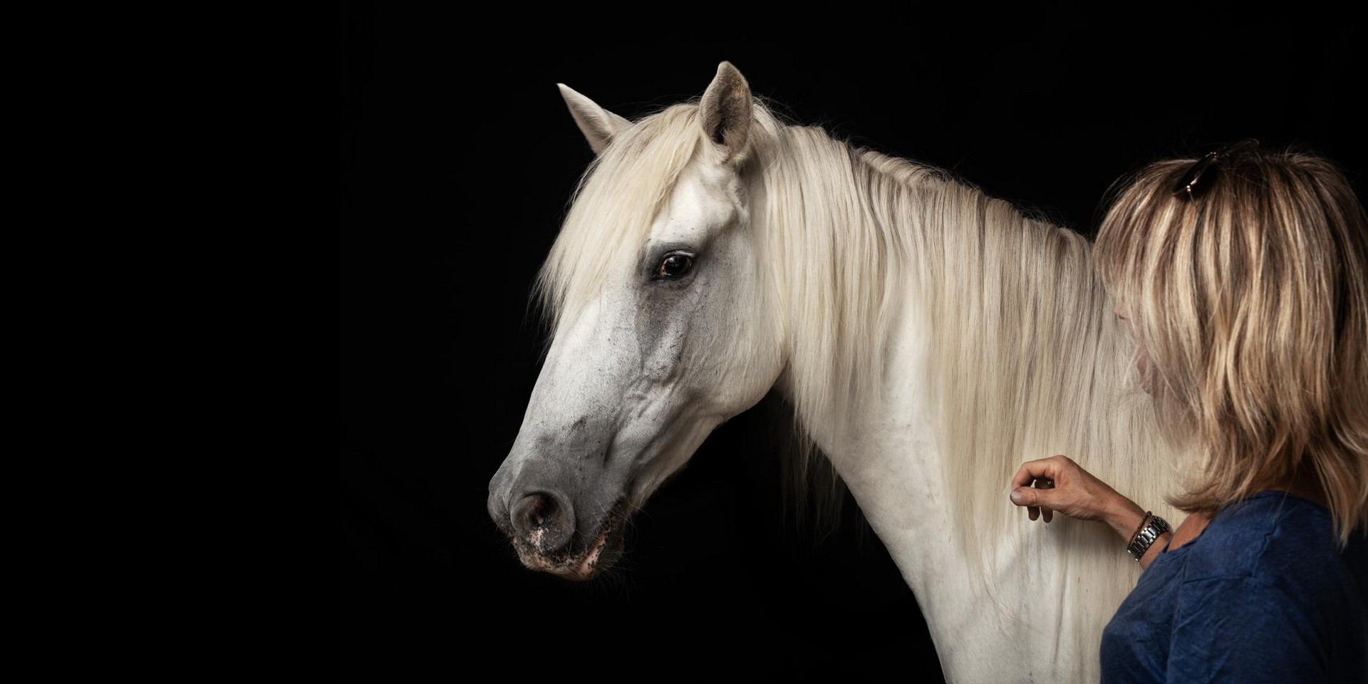 professionnels équestres certifiés