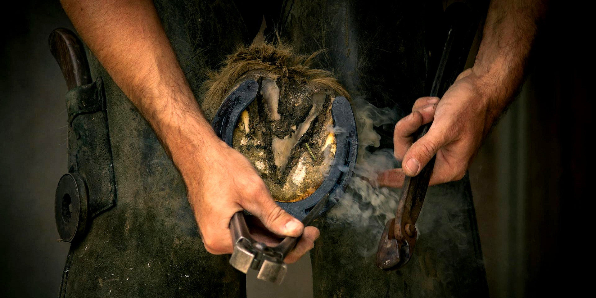 Boutique d'équitation